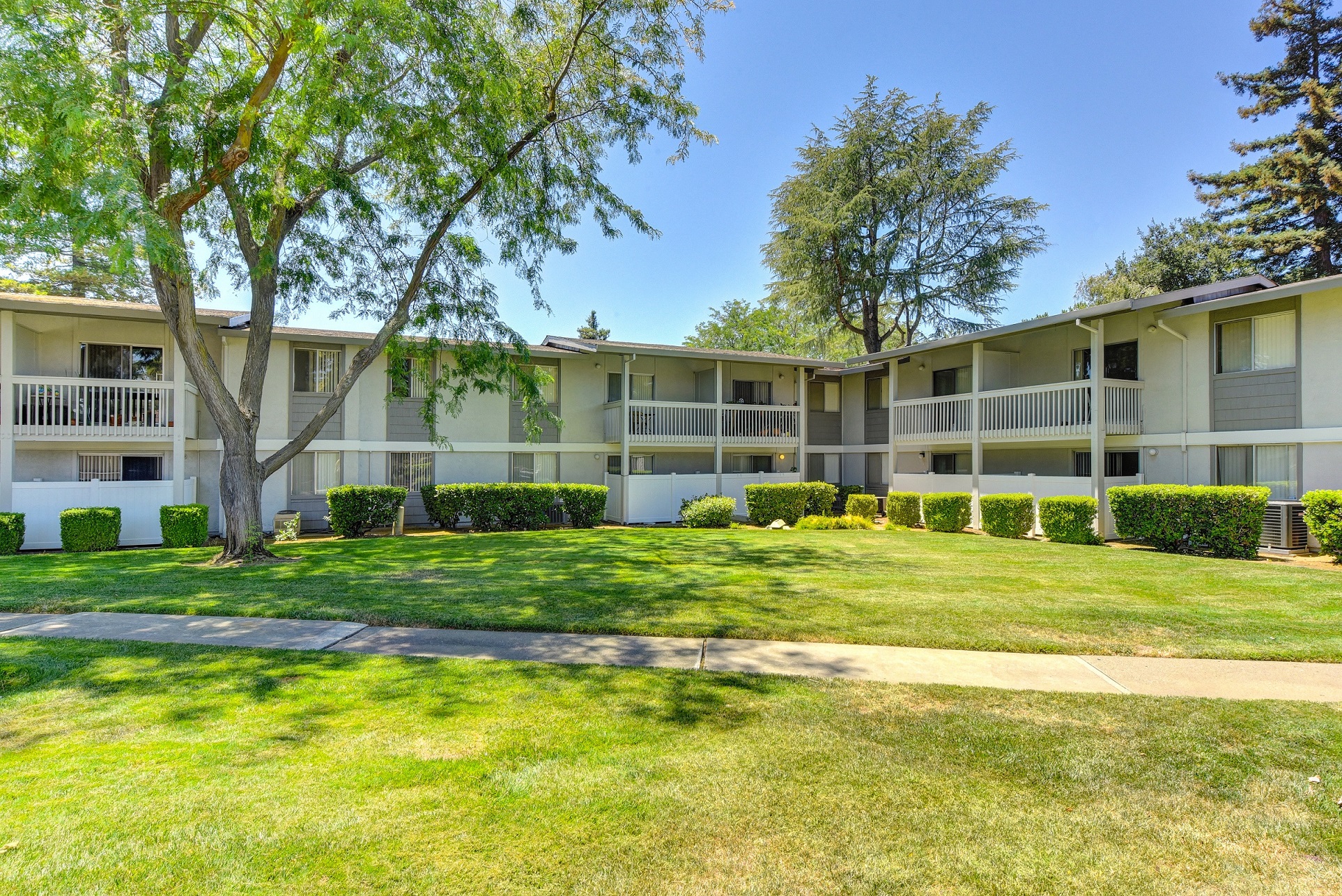 Renaissance Park Apartments Custom Page